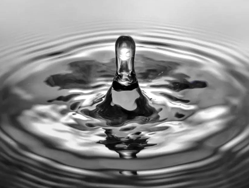 碳?xì)淝逑磩┲饕逑吹挠臀?></span><span
									 class=